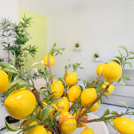 Lime Splendido X4pax -by Easylife Swiss *